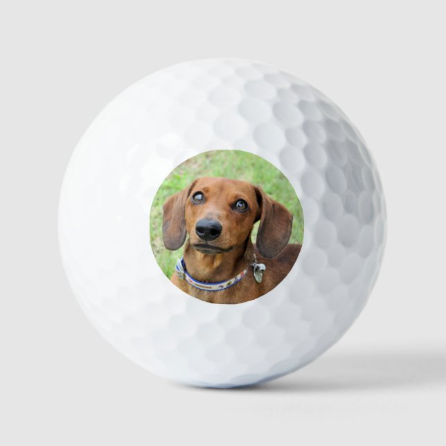 Pelotas De Golf Dachshund (Anverso)