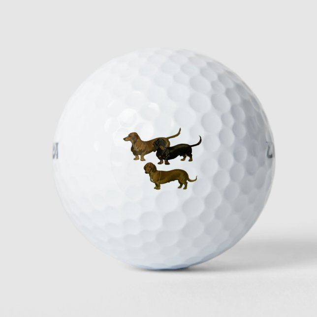 Pelotas De Golf Dachshunds (Anverso)