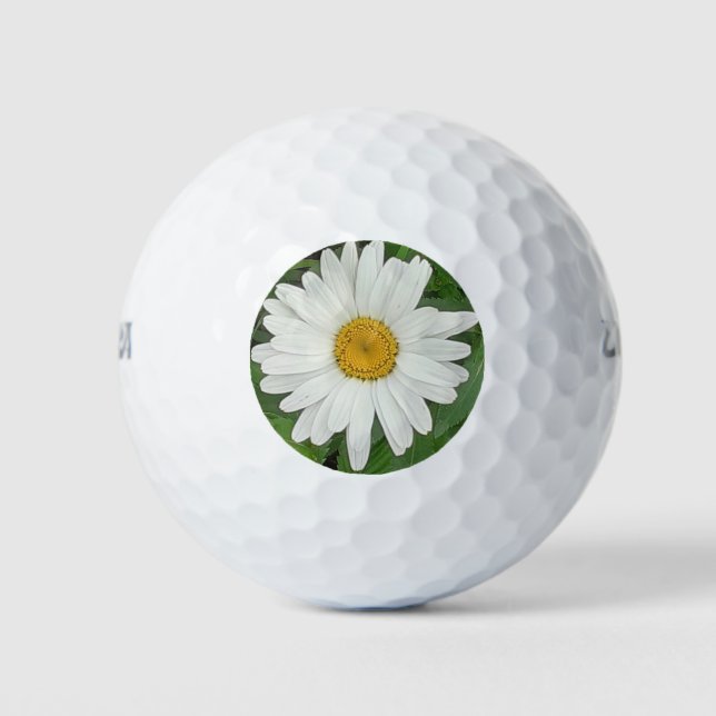 Pelotas De Golf Daisy blanco (Anverso)