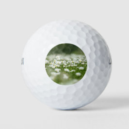 Pelotas De Golf Daisy Meadow