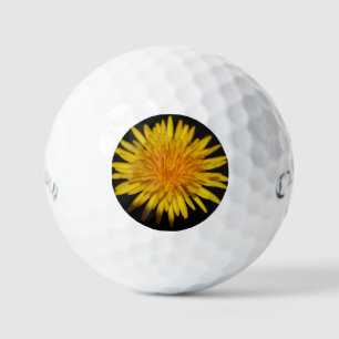 Pelotas De Golf Dandelion Flower css gbcna