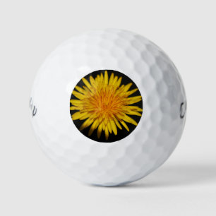 Pelotas De Golf Dandelion Flower cwb gbcnm
