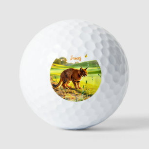 Pelotas de Golf de Gato Grande Divertidas
