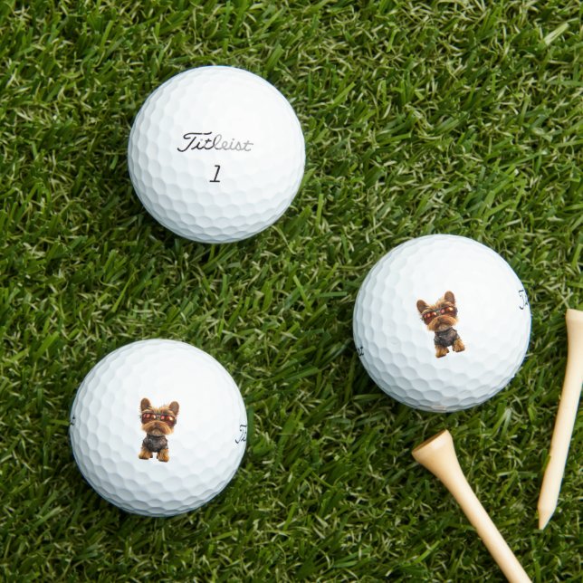 Pelotas de Golf de Yorkshire Terrier (Césped in situ)