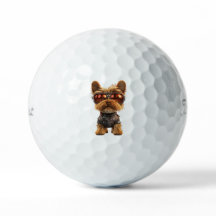 Pelotas de Golf de Yorkshire Terrier