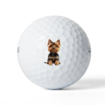 Pelotas de Golf de Yorkshire Terrier