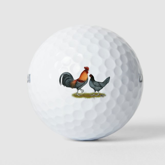 Pelotas De Golf Delaware Blue Hen (Anverso)