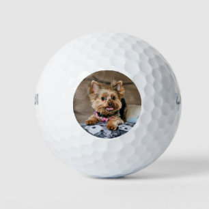 Pelotas De Golf Dínamo pequeño