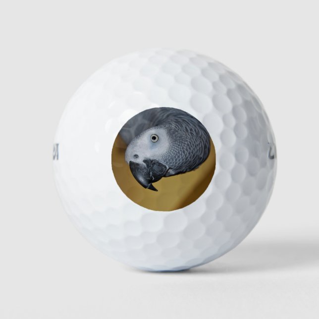 Pelotas De Golf Diputado gris africano del Congo (Anverso)