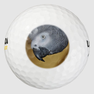 Pelotas De Golf Diputado gris africano del Congo