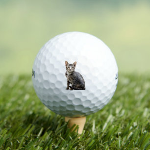 Pelotas De Golf Diseño de animales Tomcat Mascota Retrato Vintage