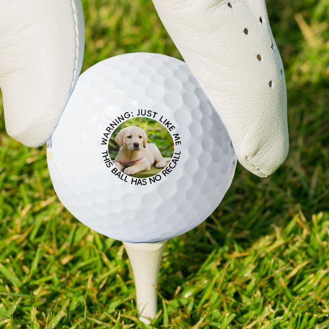 Pelotas De Golf Dog Dad Graciosa No Recall Advertencia Personaliza (Subido por el creador)