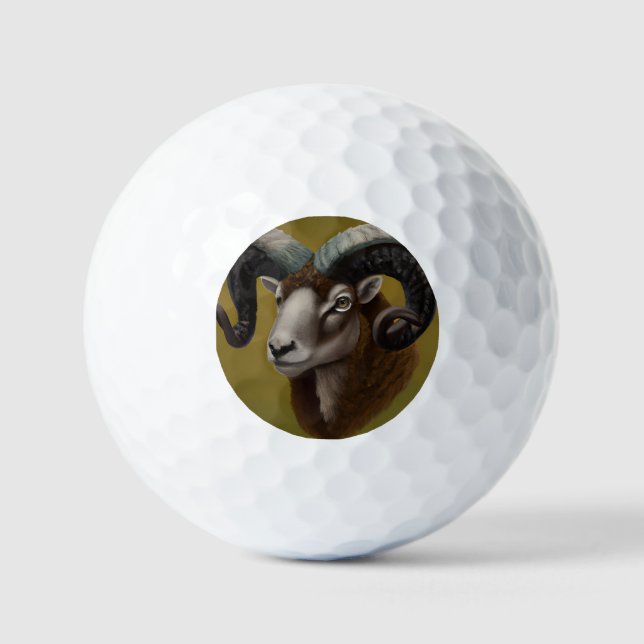 Pelotas De Golf Dorset Horn Ram (Anverso)