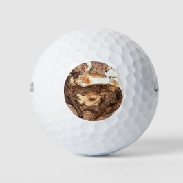 Pelotas De Golf Dos gatos (por Franz Marc)