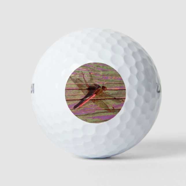 Pelotas De Golf Dragonfly Colorful (Anverso)