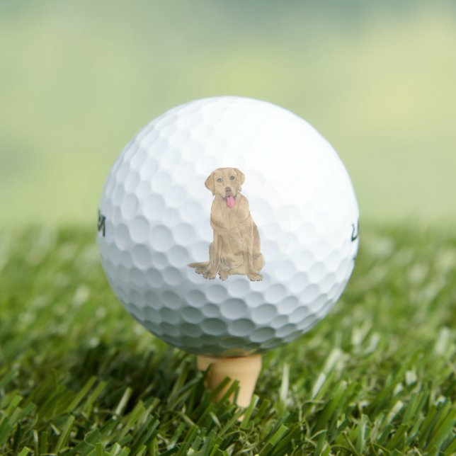 Pelotas De Golf Dudley Labrador (Camiseta in situ)
