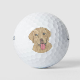 Pelotas De Golf Dudley Labrador