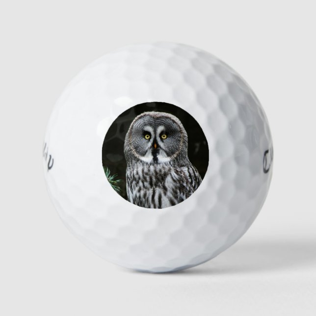 Pelotas De Golf El gran búho gris cwb gbcnm (Anverso)