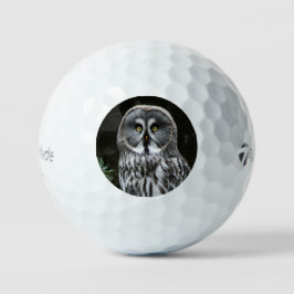 Pelotas De Golf El gran búho gris tmtp5 gbcna