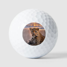 Pelotas De Golf El leopardo en la playa