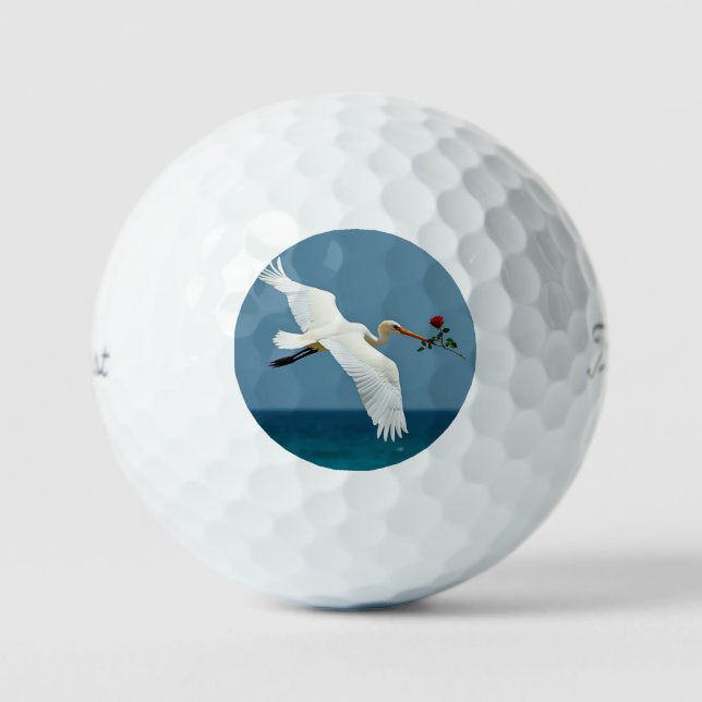 Pelotas De Golf El pájaro que viaja (Anverso)