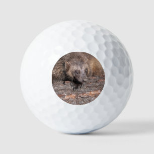 Pelotas De Golf Encuentro cercano con glotón