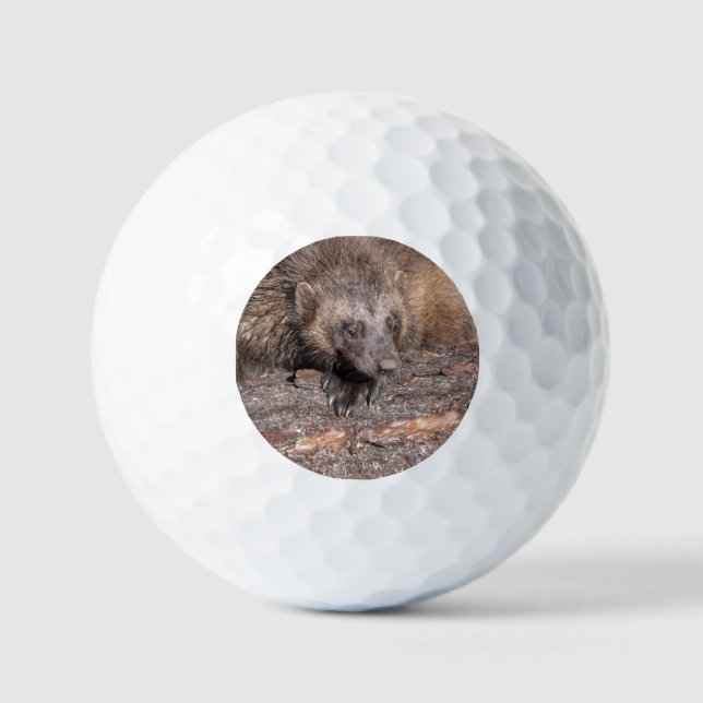 Pelotas De Golf Encuentro cercano con glotón (Anverso)
