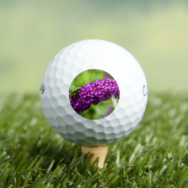 Pelotas De Golf energía de katydid (Camiseta in situ)