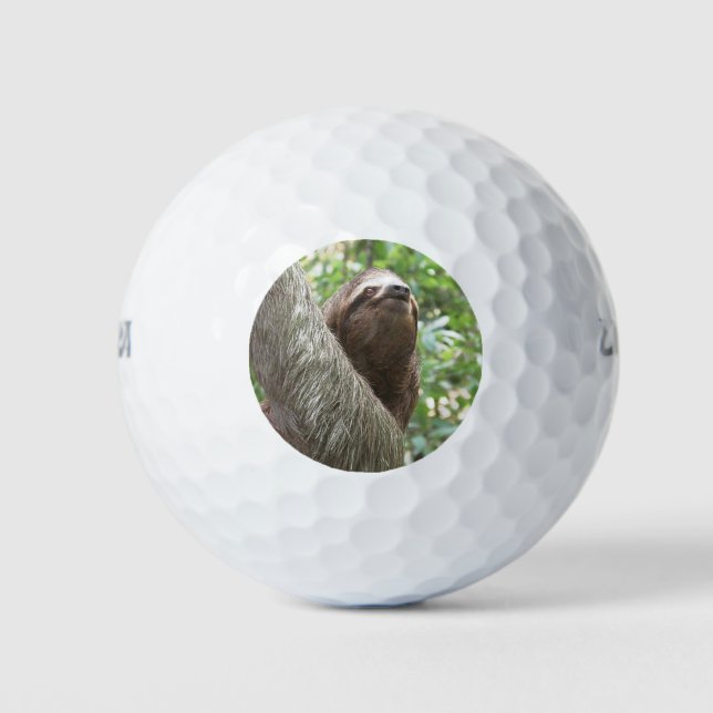 Pelotas De Golf Escalada de Sloth (Anverso)
