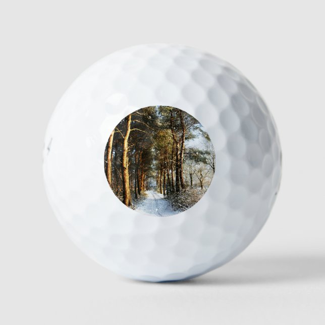 Pelotas De Golf Escena de nieve forestal be6 gbcna (Anverso)