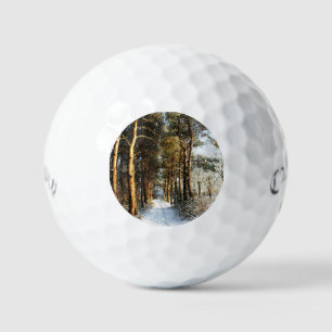 Pelotas De Golf Escena de nieve forestal css gbcnm