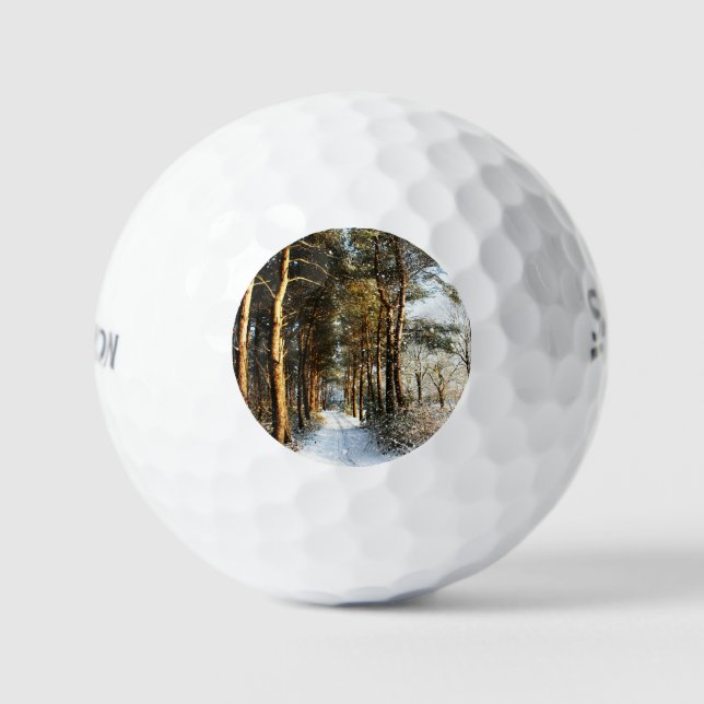 Pelotas De Golf Escena de nieve forestal ssf gbcna (Anverso)
