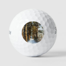 Pelotas De Golf Escena de nieve forestal ssf gbcnm
