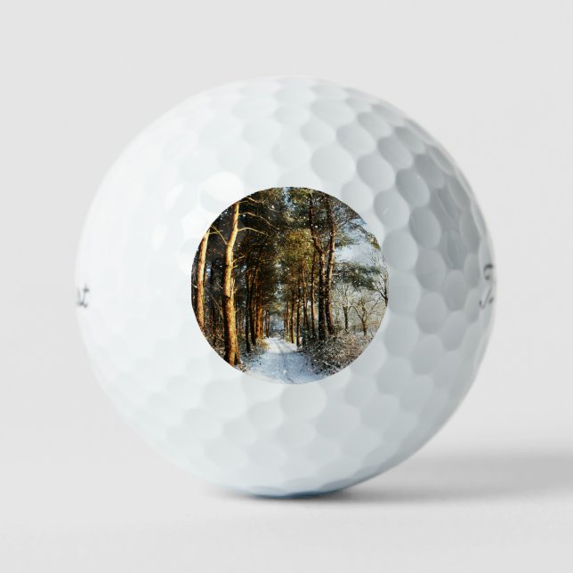 Pelotas De Golf Escena de nieve forestal tpv1 gbcnm (Anverso)