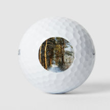 Escena de nieve forestal wu gbcnm