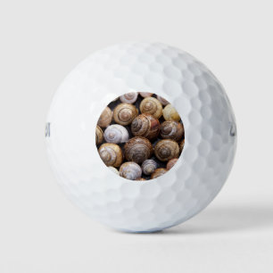 Pelotas De Golf Estanques de caracol