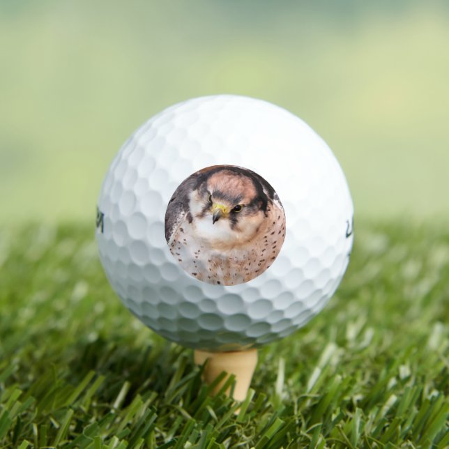 PELOTAS DE GOLF FALCON BIRD DE PREY (Camiseta in situ)