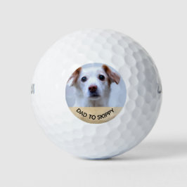 Pelotas De Golf Familia de Mascotas fotográficos personalizados