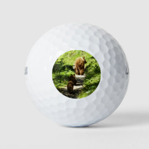 Pelotas De Golf Familia de oso marrón