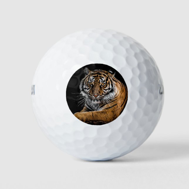 Pelotas De Golf Fan del tigre (Anverso)
