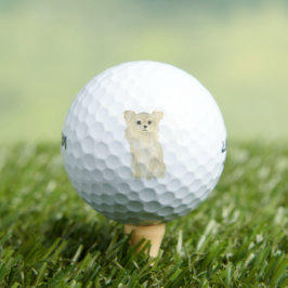 Pelotas De Golf Fawn Tan Long Haired Chihuahua