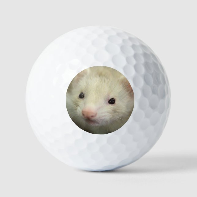 Pelotas De Golf Ferret face (Anverso)