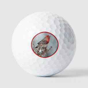 Pelotas De Golf Finca de casa en nieve - Fotografía original