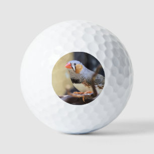 Pelotas De Golf Finch
