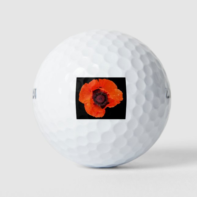 Pelotas De Golf fleur de pavot après la pluie (Anverso)