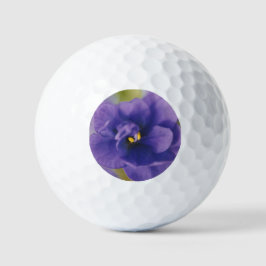 Pelotas De Golf Flor azul floreciente de violeta Saintpaulia ampli