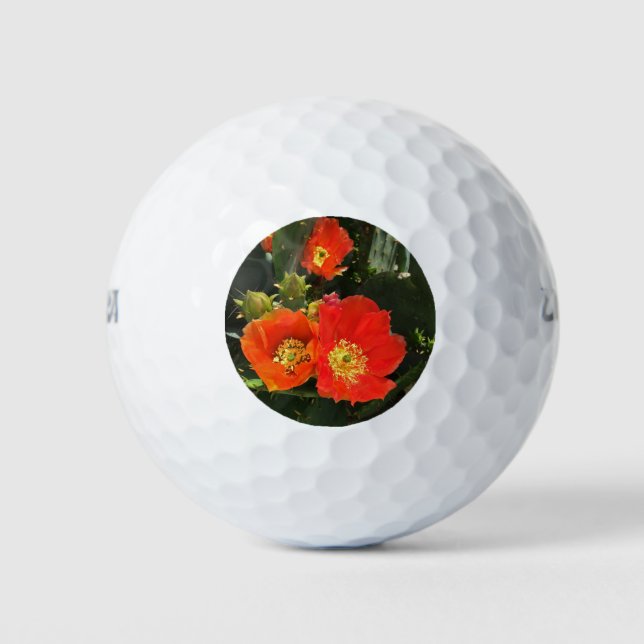 Pelotas De Golf Flor Cactus del Suroeste Foto Flor Rojo Brillante (Anverso)