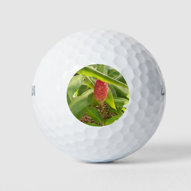 Pelotas De Golf Flor de jengibre (Anverso)