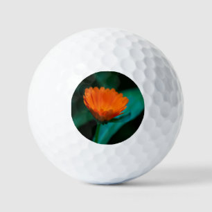 Pelotas De Golf flor de margarita naranja