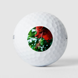 Pelotas De Golf Flor roja hibiscus